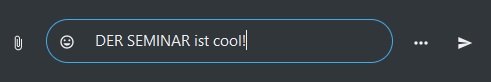 Das Eingabefenster für den Chat bei DER SEMINAR Talk.